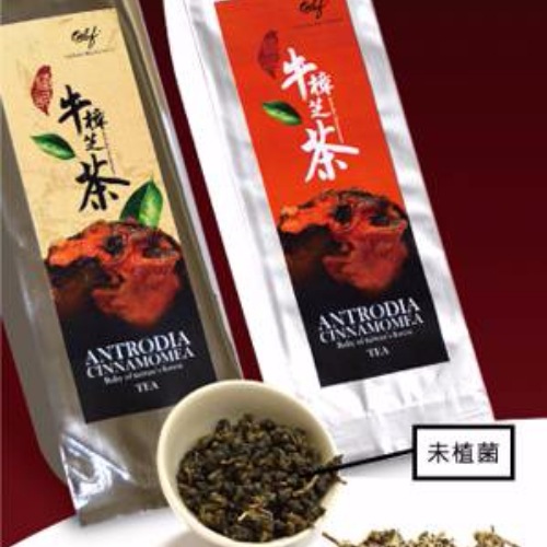 極品牛樟芝發酵茶/盒/10包
